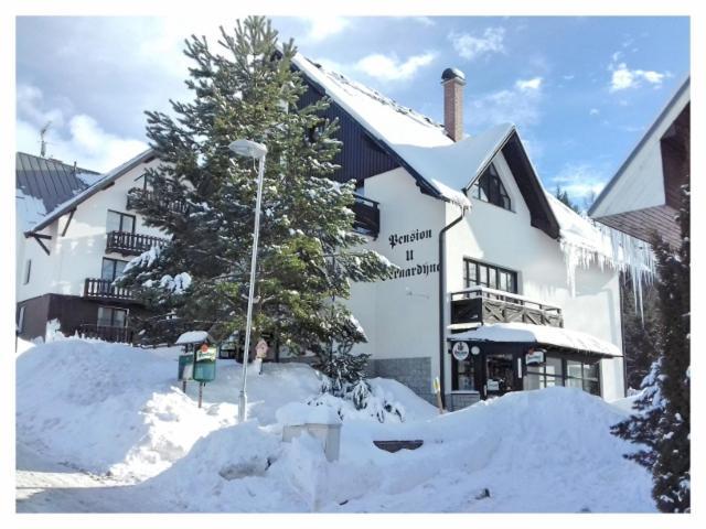 U Bernardyna Hotel Harrachov Eksteriør billede