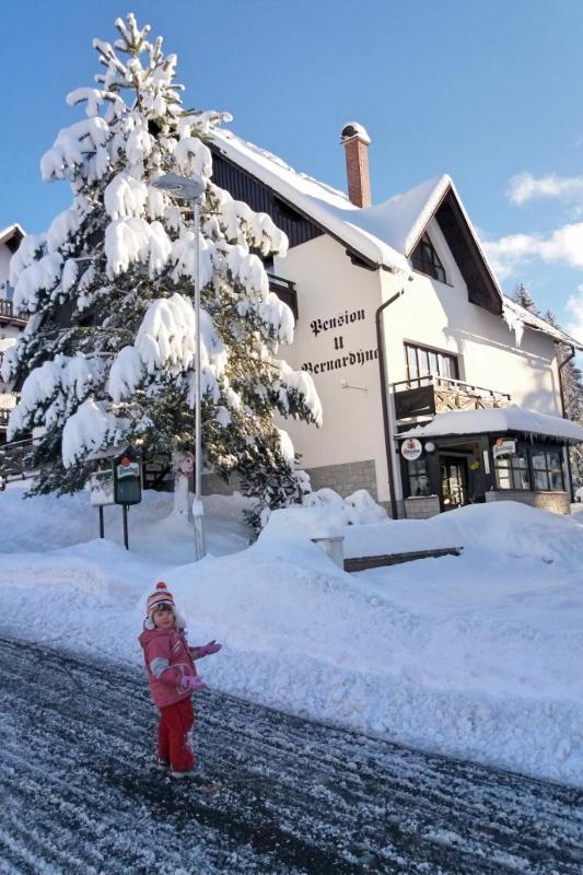 U Bernardyna Hotel Harrachov Eksteriør billede